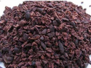 Chocolate  Cocoa  NIB