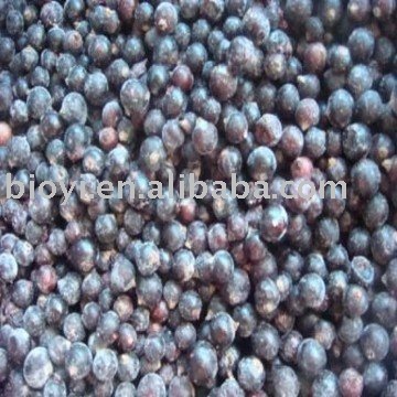 frozen blackcurrant