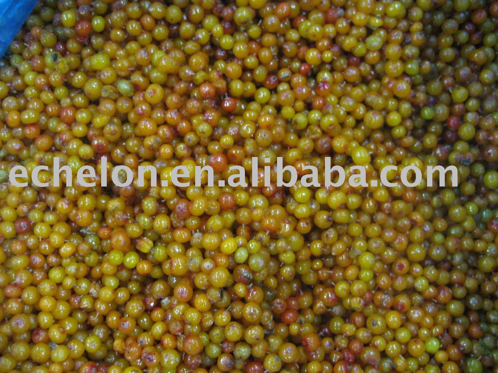 iqf seabuckthorn
