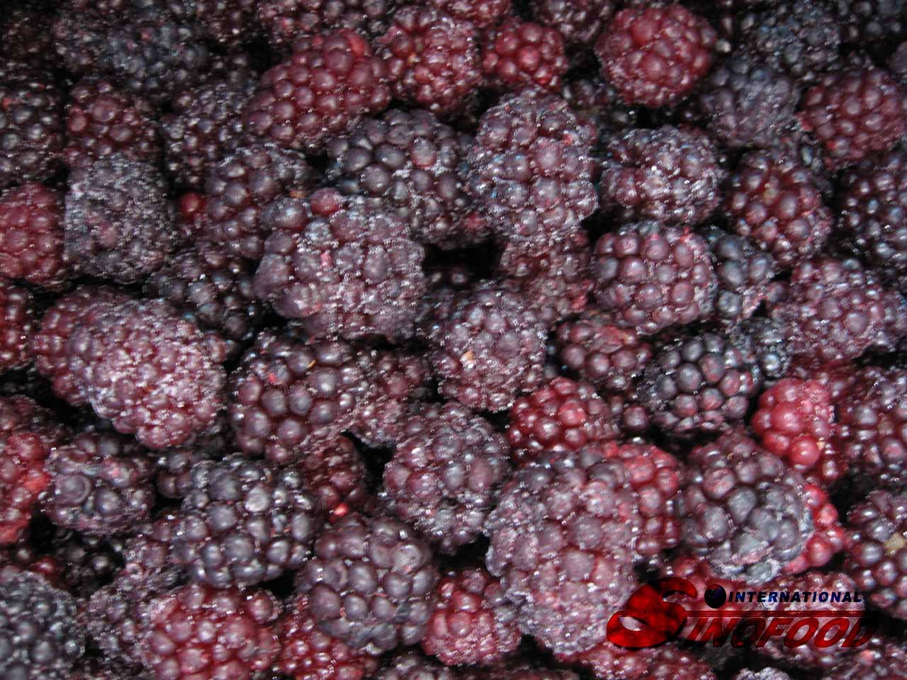 blackberry