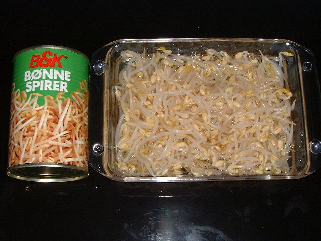 Beansprout