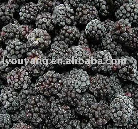 frozen blackberry