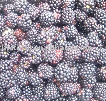 frozen blackberry