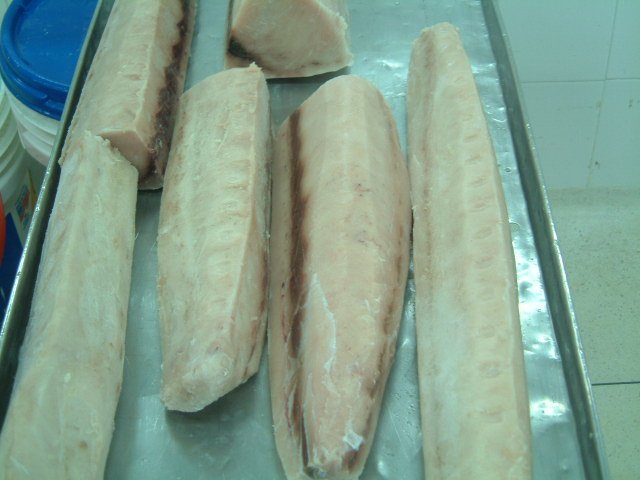 Frozen Swordfish loin- Xiphias Gladius