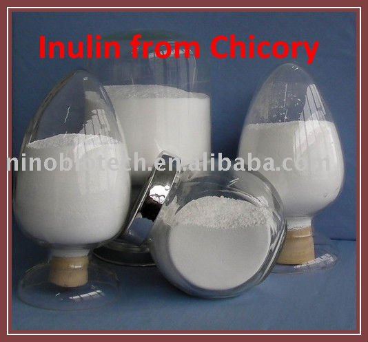 Inulin from Chicory