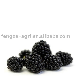 2011 Individual  Quick   Frozen   blackberry 