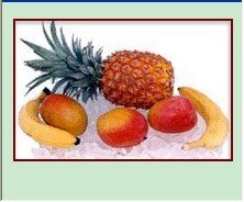 Mango Tropics    Crushed Fruit Smoothies