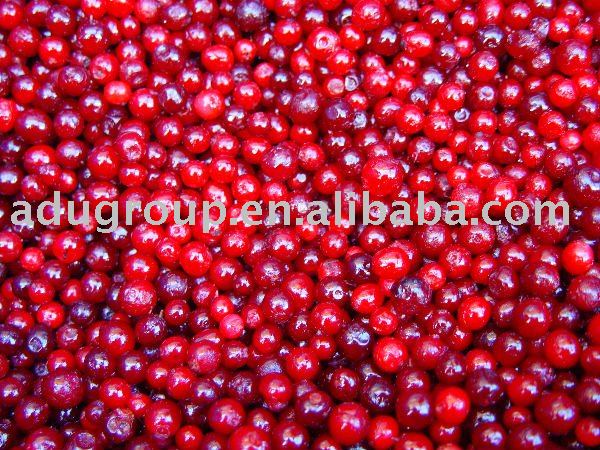 Frozen lingonberries