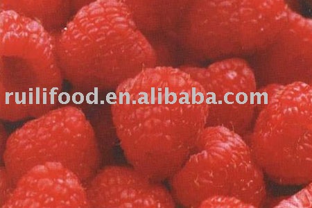 best price for you ```` fruit , dried fruit , iqf fruit