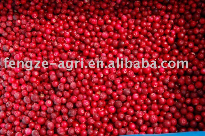 2011 IQF lingonberry good quality and competitive price HACCP and ISO certificate