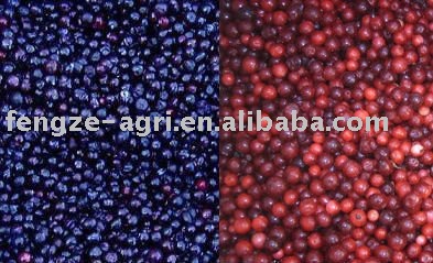 new Individual Quick Frozen cowberry good quality and competitive price HACCP and ISO certificate