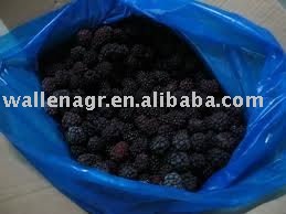 Frozen blackberry