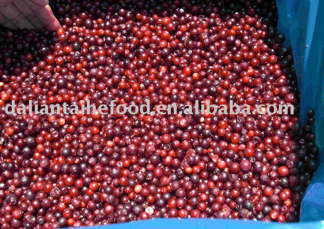 frozen lingonberry (IQF individual quick frozen)