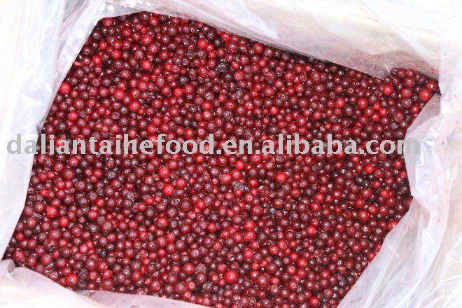 IQF frozen lingonberry from the main origin