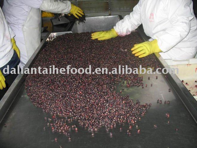  IQF   frozen   blackcurrant  choosing