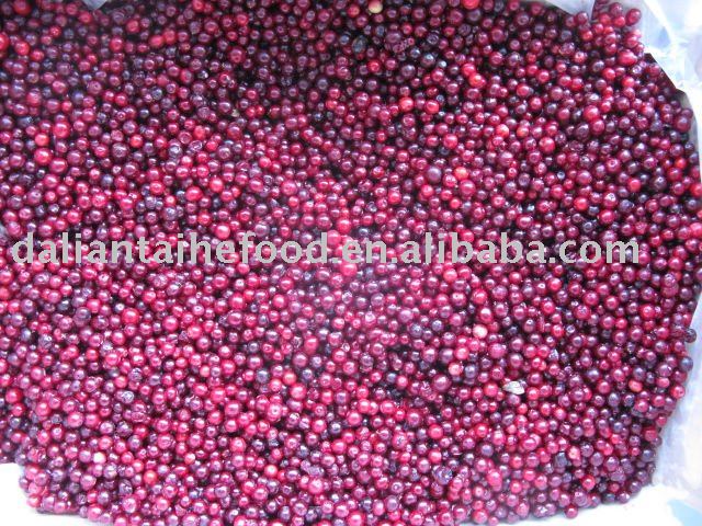  IQF   frozen   lingonberry  (Individual quick  frozen )