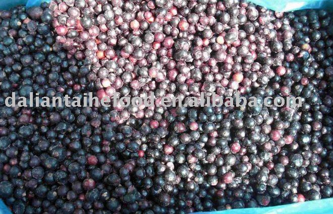 IQF frozen blackcurrant