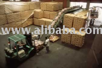 Tones of Refined Cane and Beet Sugar Available In Bulk $250 per mt