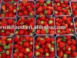 sell 2010 new crop`````strawberry=maasikad (estonian)