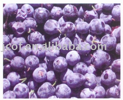 IQF Blueberry 677