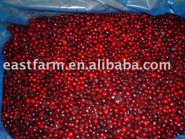 frozen wild lingonberry