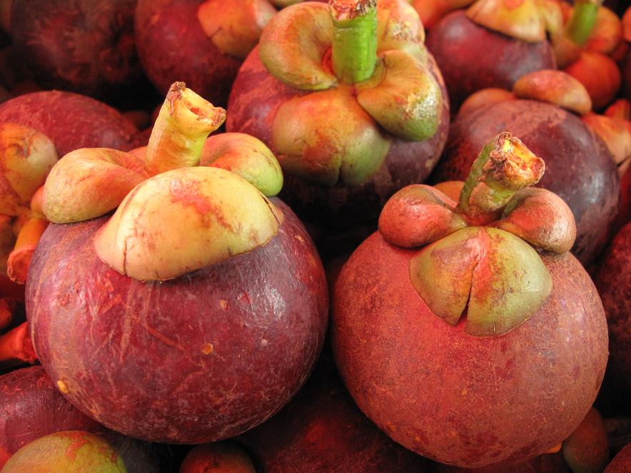 Mangosteen All Grades, 100% export quality