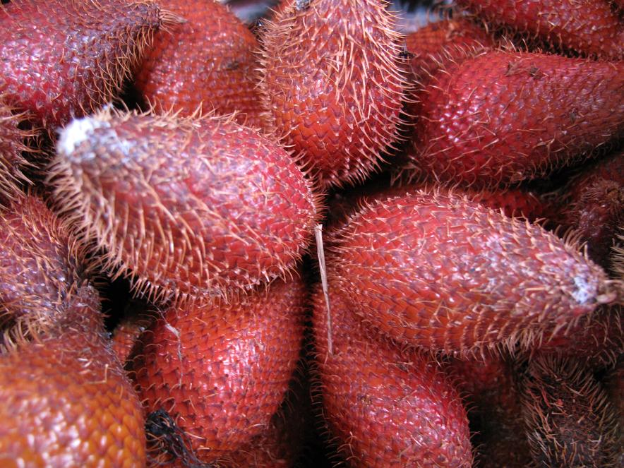 salak palm All Grades, Export quality 100% natural, Fresh and Frozen