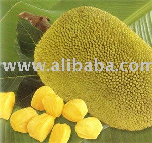  Fresh   Jackfruit 
