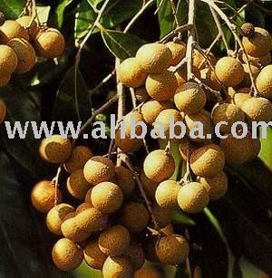  Fresh  Delicious  Longan 
