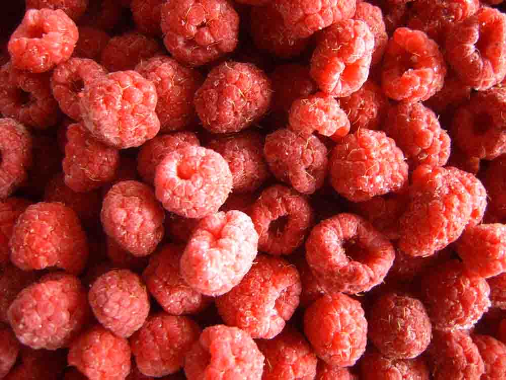 18t Ready-To-Go 95% IQF Frozen Raspberry From Serbia