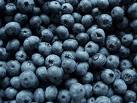 IQF Blueberries