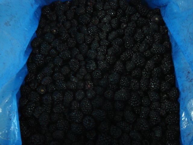 IQF Blackberries