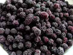 Frozen Blackberry