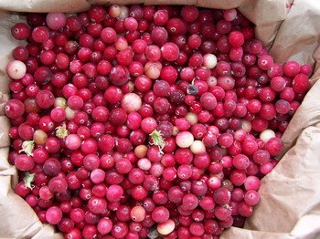 Frozen cranberry B class