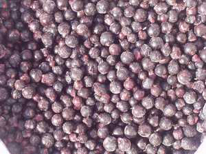  Frozen   black   currant  B class