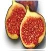 IQF Frozen Fig