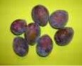 Frozen  Agen Plums