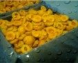 Frozen Apricots