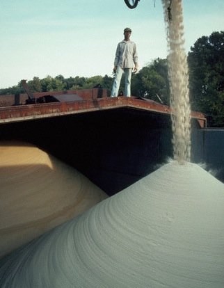  WHITE  SUGAR
