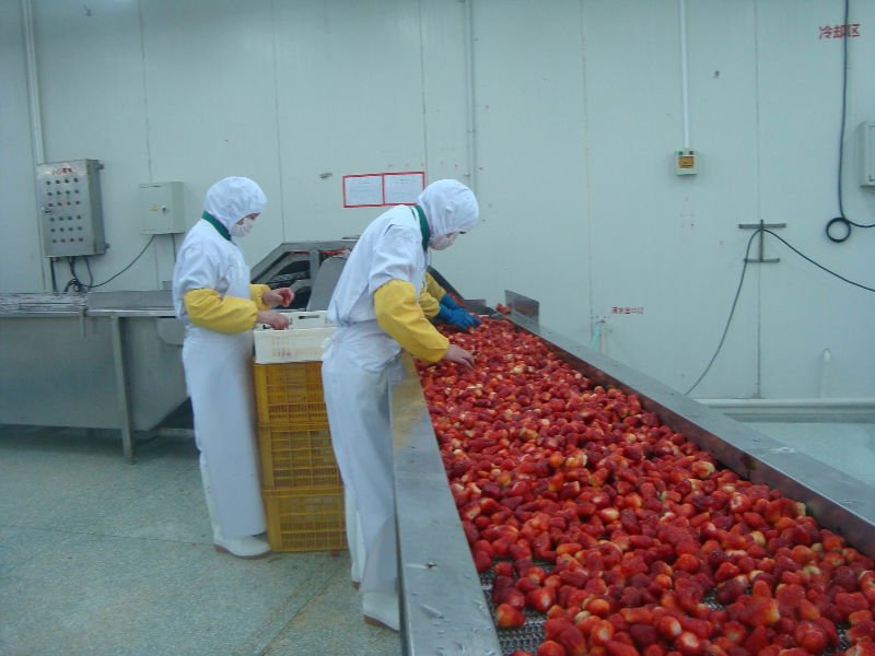 IQF strawberry  A grade