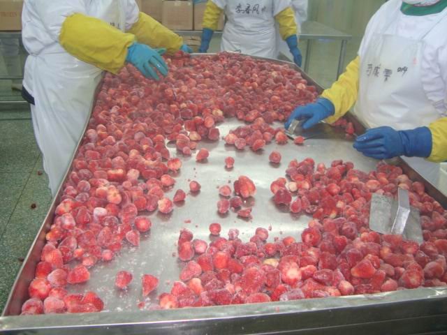 frozen strawberry