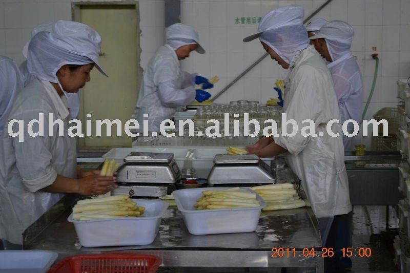  WHITE   ASPARAGUS   CANNED  best quality 2011