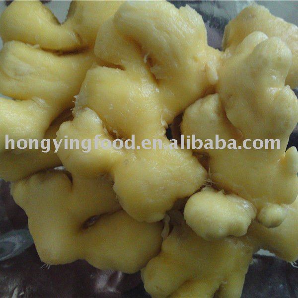 sushi pickled ginger from China