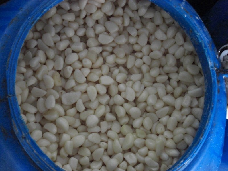 pickled garlic