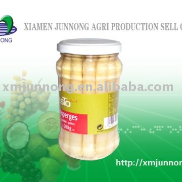 Canned White Asparagus canned asparagus canned vegetable