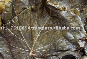 Grape Leaves
