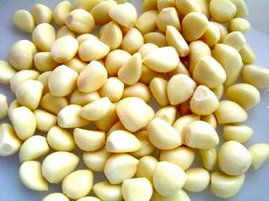Frozen Garlic Clove
