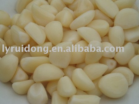 garlic in brine