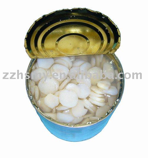 Canned Water Chestnuts Slices