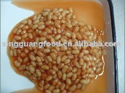  Canned   Beans  in  tomato   sauce 
